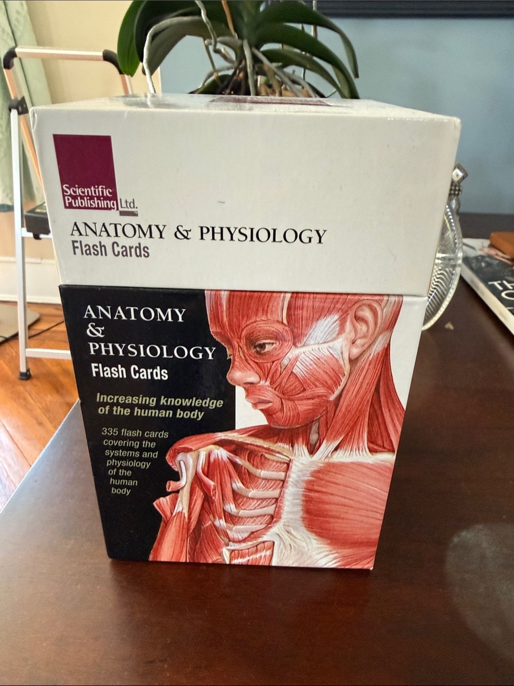 Scientific Publishing Anatomy & Physiology Flash Cards - Red/White